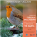 20250119_PIB_oiseaux_jardin_web.png