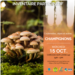 20251015_corcoue_champi_web.png