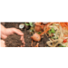 20251008_corcoue_compostage_banniere