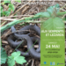 20250524_RNR_reptiles_web.png
