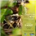 20250809_ens_betes_web.png